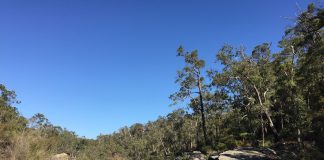 How to turn WA’s coal hub into a renewable industry leader