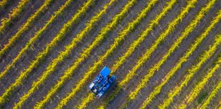 AgTech Strategic Plan triggers $2.4 million investment