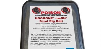 Feral pig management chemical HOGGONE® now on market