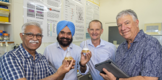 New Aussie-made technology tipped to boost the global quinoa industry