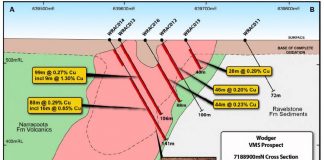 After Auris survey, Westgold to begin drilling at Forrest Deposit