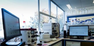 Microalgae identified as clean source of hydrogen production: Monash study