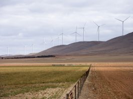 Australia’s energy crisis: 3 ways the Albanese government can ease pressure on your power bills