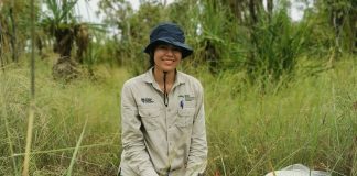 Ants a mirror to ecosystem restoration