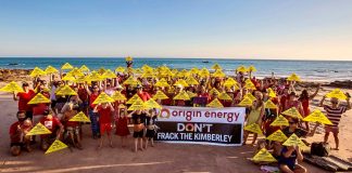Origin Energy Chair confirms Kimberley exit