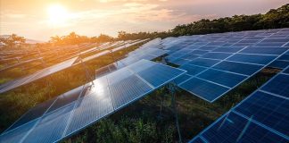 Construction on Glenrowan Solar Farm commences