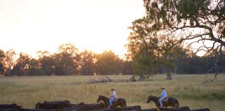 Coles launches industry-leading carbon neutral beef