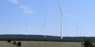 Friends of the Earth welcomes Supreme Court decision on the Delburn wind farm