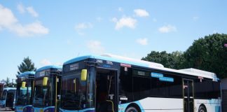 Queensland adds 40 to electric bus network to boost zero emission goal