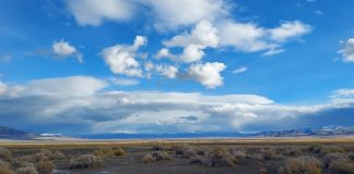 Osmond to acquire 5E’s earn-in rights to Salt Wells Project