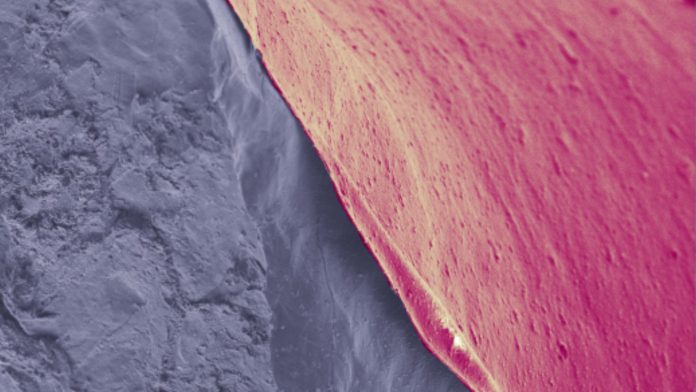 SEM-of-Coated-Lithium-519-x-350 (1)