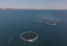 CSIRO’s new AquaWatch technology to be used to monitor the Spencer Gulf