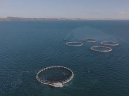 CSIRO’s new AquaWatch technology to be used to monitor the Spencer Gulf